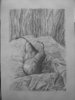DSCN0880.jpg