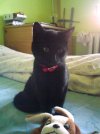 DSC00107.JPG