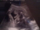 DSC00286.jpg