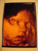 DSCN3492.jpg