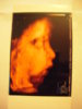 DSCN3497.jpg DSCN3497.jpg