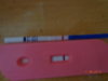 DSC01081.jpg