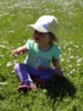 DSC02353.jpg