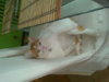 20121031003.jpg