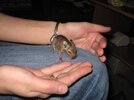 IMG_0428.jpg