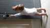 20130613_113732.jpg