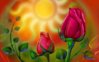 sun_rose-wide.jpg