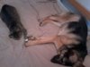 20130911_114042.jpg