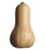 ttar_butternut_squash_v.jpg ttar_butternut_squash_v.jpg