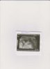 Usg 20.12.13r  12 tydz 001.jpg