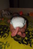 DSCF0487.jpg