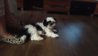 ZOE_0005.jpg ZOE_0005.jpg