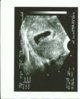 Scan.jpg