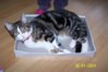 100_6395.jpg 100_6395.jpg