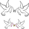 ist2_4364942-white-wedding-doves-with-rings.jpg