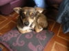 DSCN3951.jpg