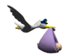 stork_delivering_baby.gif