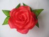 róza czerwona.jpg
