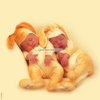 puzzle-1000-el-anne-geddes-dzieci-kroliczki_0_b.jpg