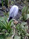 667_DSC00513.jpg