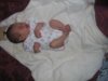 IMG_0019_800x600.jpg