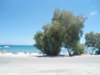 DSC01925.jpg