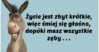 10462568_519108201549326_3823107897533257326_n.jpg