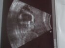 SDC11649.JPG