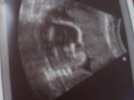 SDC11650.JPG