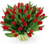 tulipany_728.jpg