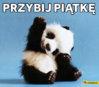 przybij-piatke-pandzie.jpg