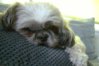 DSC08113.jpg