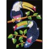 Toucans.JPG{w=500,h=500}.th.jpg