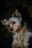 DSC_4277.jpg