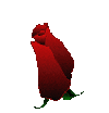 roza2.gif