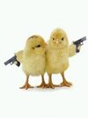 chicks_with_guns_freemobo[1].jpg
