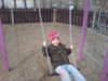 DSC00137.jpg