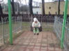 DSC00133.jpg