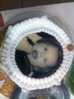 ImageUploadedByForum BabyBoom1421027563.346386.jpg