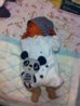 ImageUploadedByForum BabyBoom1423410170.167873.jpg ImageUploadedByForum BabyBoom1423410170.167873.jpg