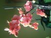20150219_082655.jpg
