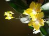 20150219_082622.jpg