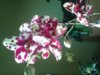 20150219_082533.jpg