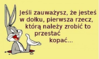 do&#322;ek.png