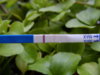 ST830356.jpg