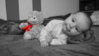 DSC01409.jpg