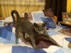 ImageUploadedByForum BabyBoom1429562056.279154.jpg ImageUploadedByForum BabyBoom1429562056.279154.jpg