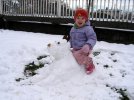 IMG_4031.JPG IMG_4031.JPG