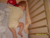 SDC10436.jpg