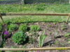 S6003262.jpg